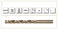 Makina Takım HSS-E Altın Seri İnox Delme Matkap Ucu 1 mm