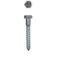 Ennalbur Trifon Vida 8X80 mm (5 Adet)